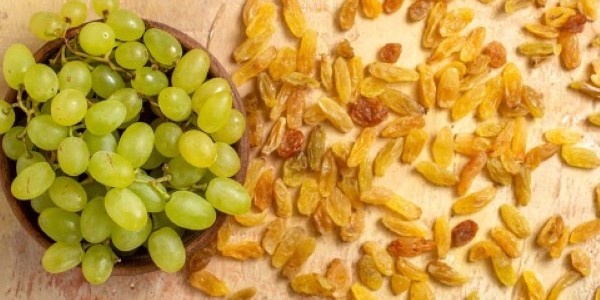 تصویر 3 از قیمت خرید کشمش گلدن طلایی درجه ۲ عمده به صرفه و ارزان